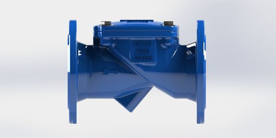 Zawór kontrolny Swing Flex z klasyfikacją ciśnienia PN16, układem z elastycznego żelaza i materiałem uszczelniającym EPDM do zastosowań wodnych