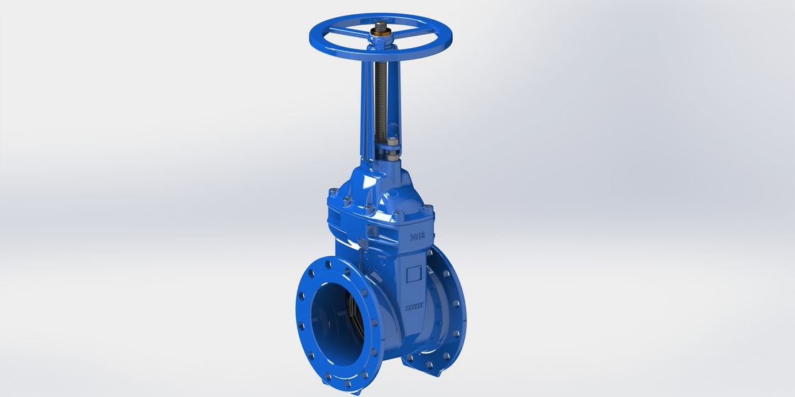 BS Design Standard Water Gate Valve z ciśnieniem PN25 w rozmiarach od 2 do 32 cali i powłoką epoksydową dla sieci dystrybucyjnych wody